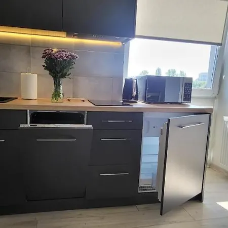 Centrum Prusa Prestige 211 公寓 *