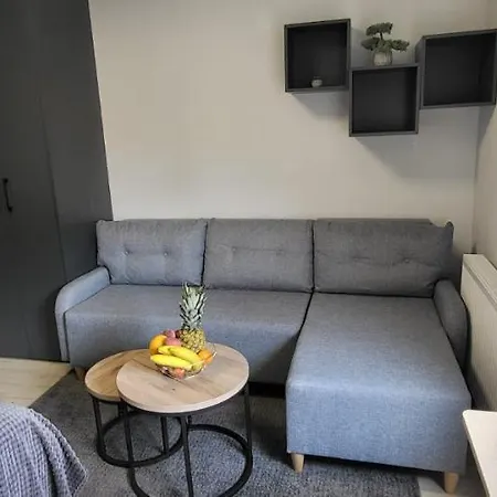 公寓 Centrum Prusa Prestige 211