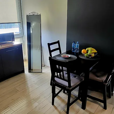 Centrum Prusa Prestige 211 公寓